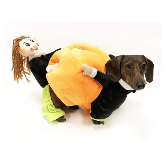 Dog Cat Halloween Costume Premium Pumpkin Funny Costume Small Breed Sz M - Picture 1 of 10